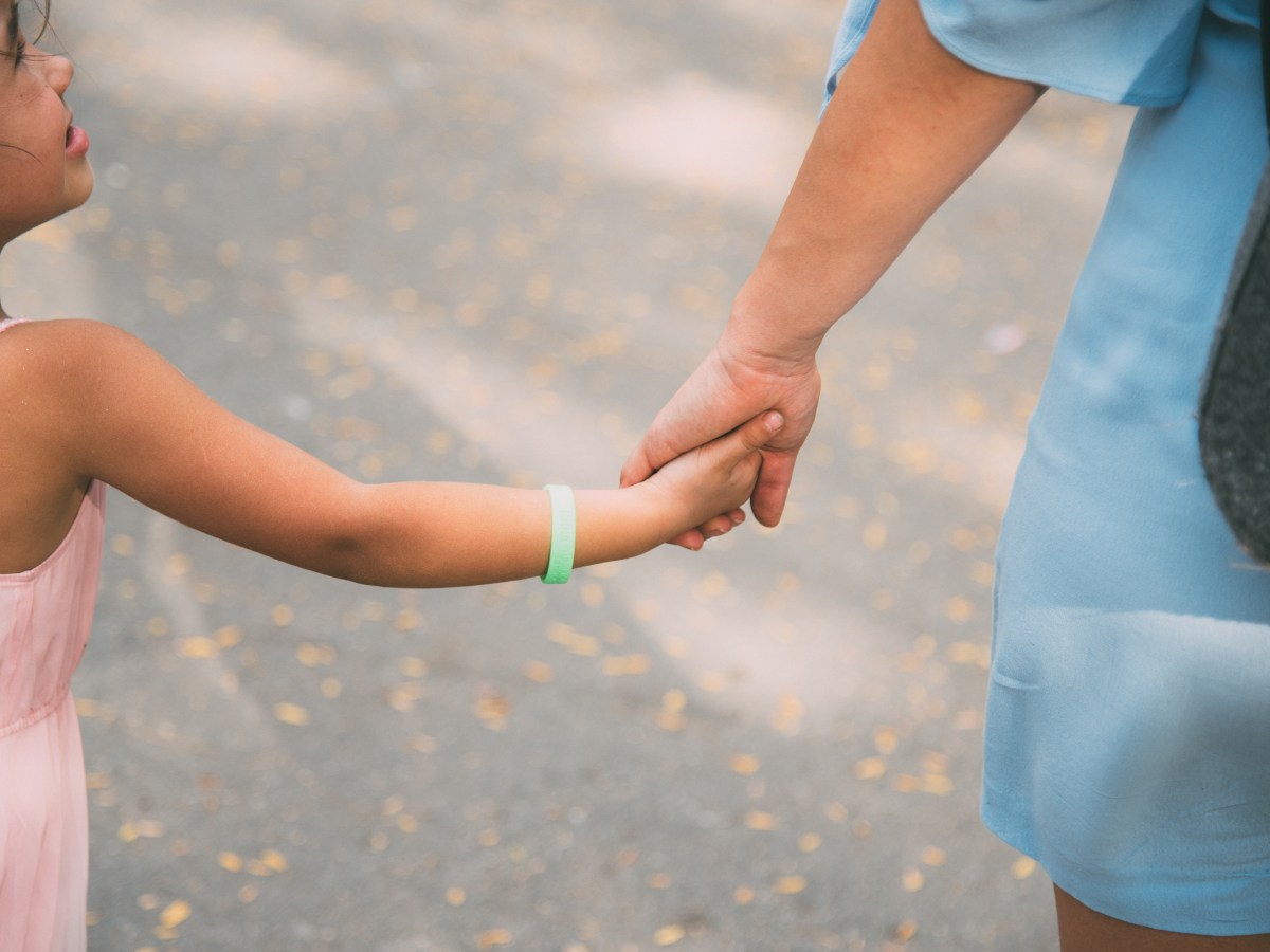 За силата на пътя и по&nbsp;пътеките