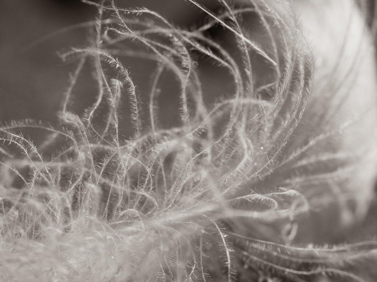 Разширение и свиване