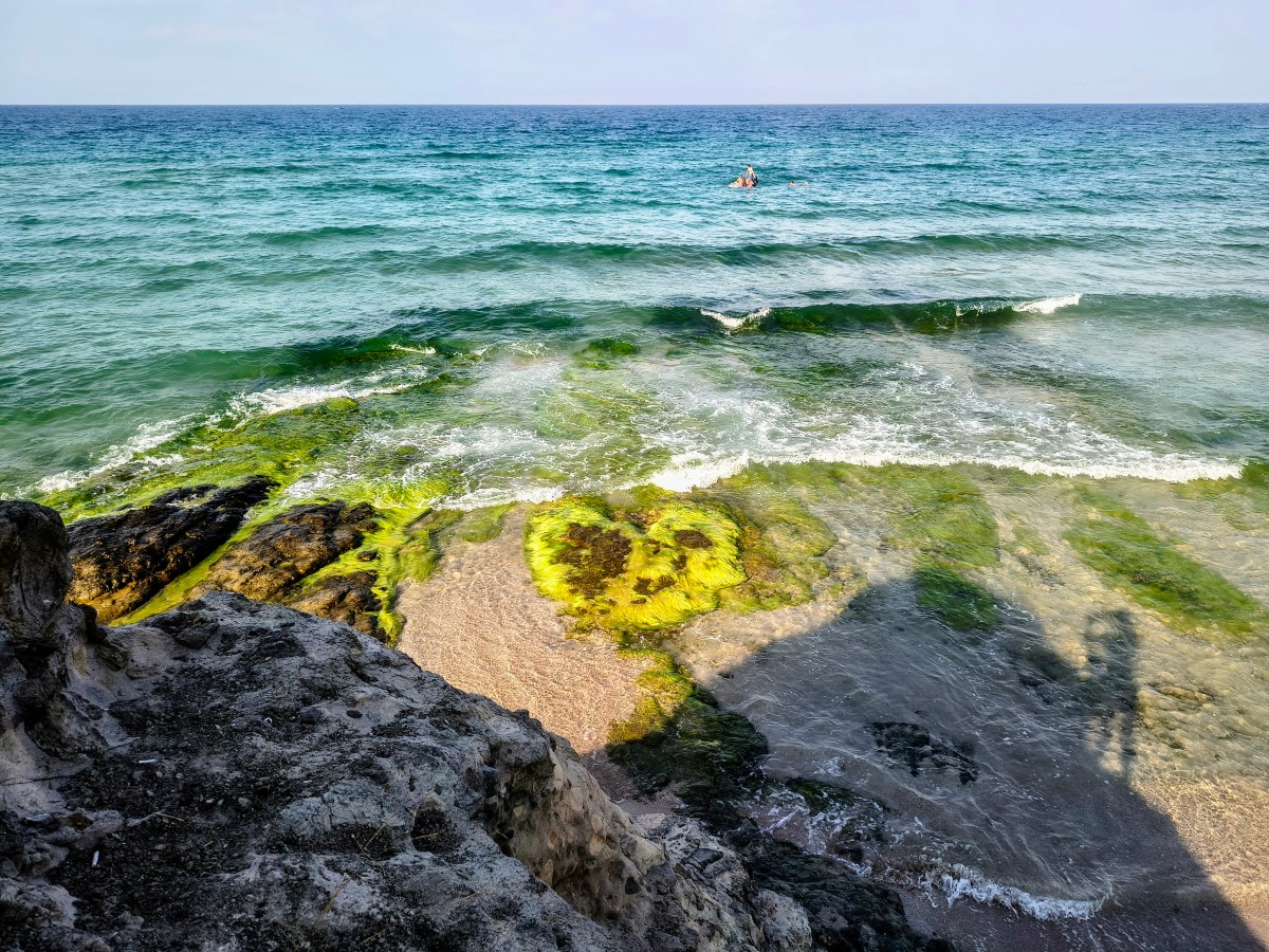Урокът на Дългото&nbsp;море